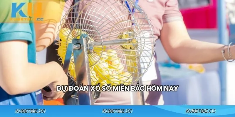Thống kê lô tô là nền tảng để dự đoán chính xác