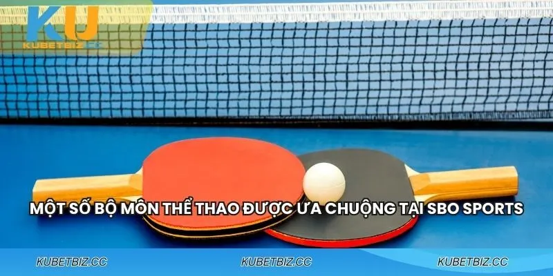 Môn thể thao đòi hỏi phản xạ nhanh và chiến thuật tinh tế