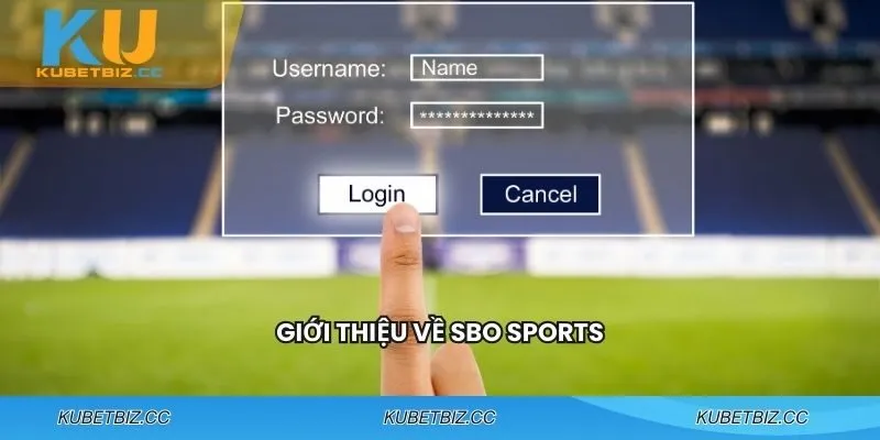 Sảnh SBO Sports là gì?